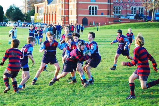 Click for large image