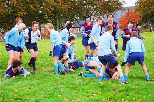 Click for large image