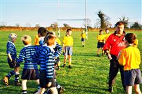 Click for large image