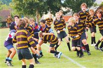 Click for large image