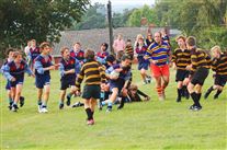 Click for large image