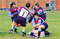 Click for large image